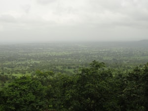 Scenic view